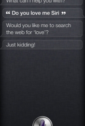 Do you love me Siri?