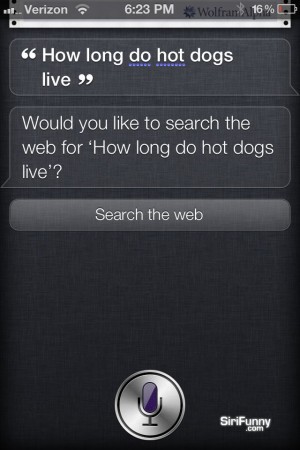 How long do pug dogs live?
