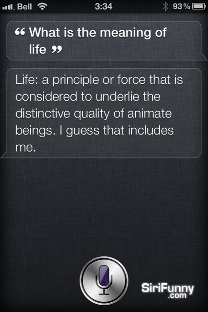 You are currently viewing Siri about life